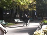 park jesien 2012 017
