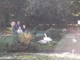 park jesien 2012 030