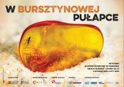 wtz JPII wbp
